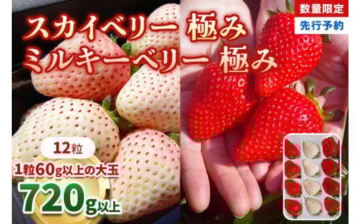 [数量限定] スカイベリー 極み×ミルキーベリー 極み 12粒《1月初旬～2月初旬に順次発送》 澳原いちご農園 | いちご イチゴ 苺 フルーツ スカイベリー ミルキーベリー 果物 産地直送 栃木県産