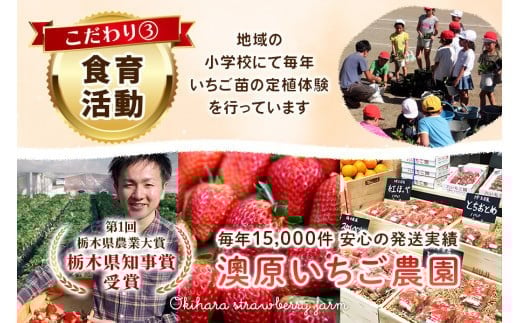 [数量限定] スカイベリー 極み×ミルキーベリー 極み 12粒《1月初旬～2月初旬に順次発送》 澳原いちご農園 | いちご イチゴ 苺 フルーツ スカイベリー ミルキーベリー 果物 産地直送 栃木県産