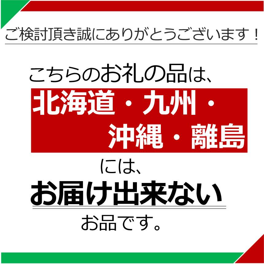 いちご 完熟 朝摘み とちあいか 極み 12粒 【2027年 先行予約】