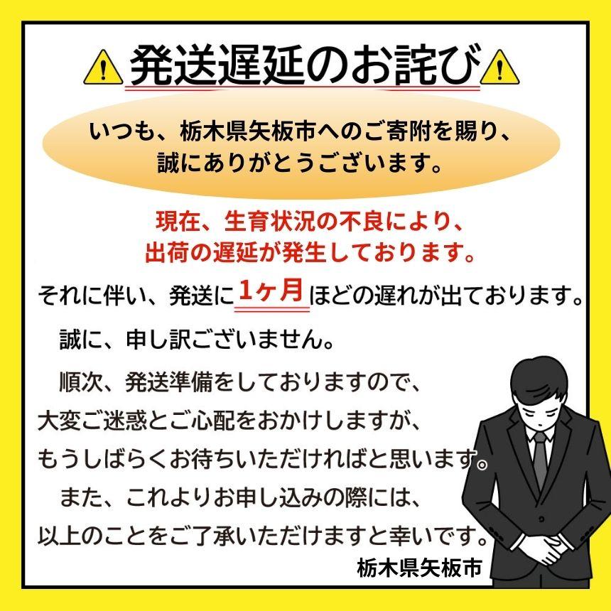 【先行予約】完熟朝摘みスカイベリー デラックス 800g 澳原いちご農園 | イチゴ 苺 果物 果実 スイーツ 産地直送 
