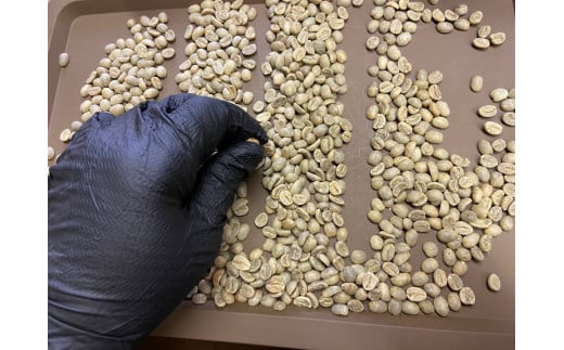 èªå®¶çç
çç²è± SAKURA BLEND (ã·ãã£ããŒã¹ã) 100gÃ3è¢ãè±ã§ãå±ããïœSAKURAé»ç«å çç² ã³ãŒã㌠çç
ã³ãŒããŒè±