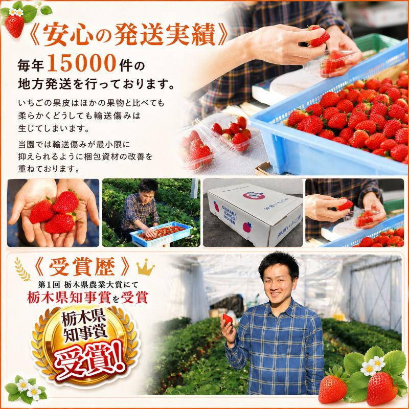 完熟朝摘みスカイベリー プレミアム 900g【2027年1月以降発送】ギフト 贈答 | いちご 苺 フルーツ 果物  澳原いちご農園 栃木県 矢板市