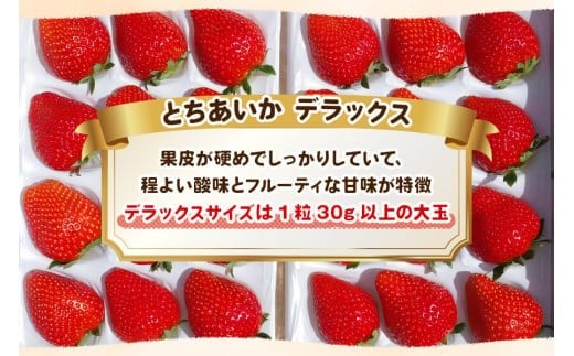 ãå
è¡äºçŽãå®çææã¿ãšã¡ããã ãã©ãã¯ã¹ 800g ã1æäžæ¬ããé æ¬¡åºè·ã 柳åãã¡ã蟲å | ãã¡ã èº ãã«ãŒã æç© ç£å°çŽé