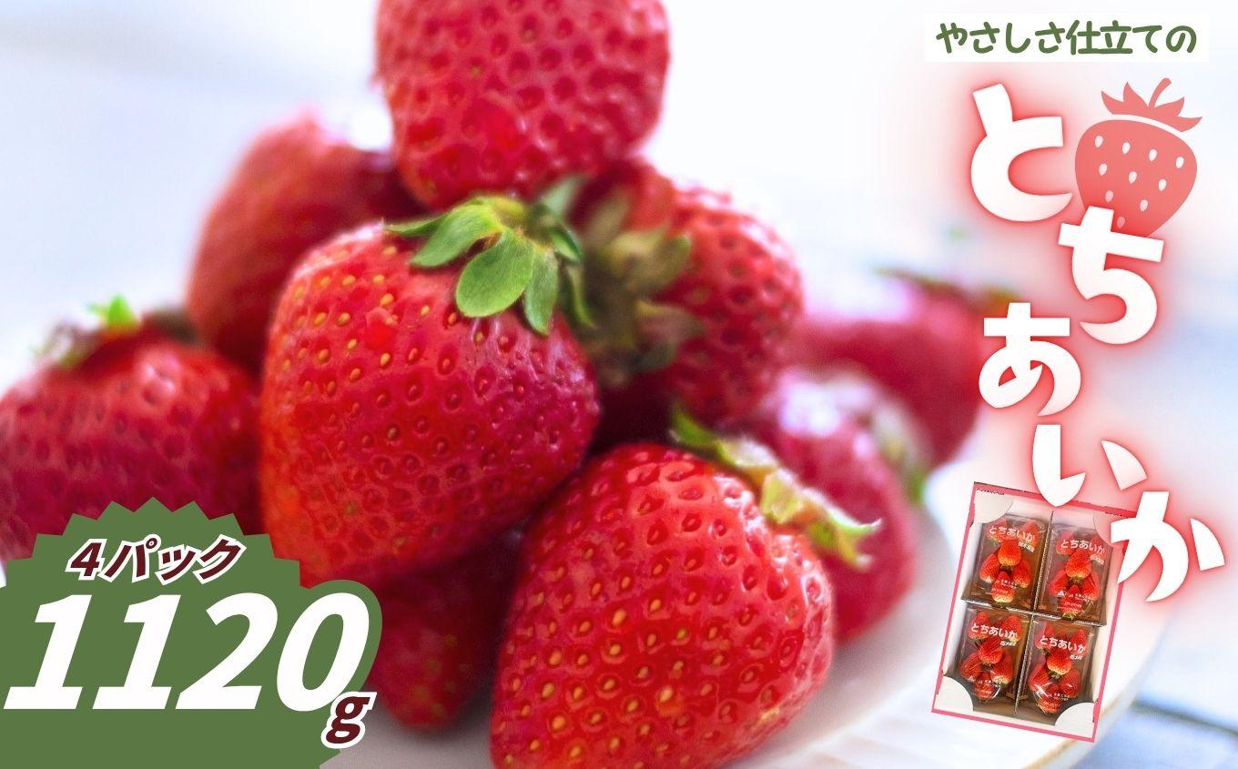 やさしさ仕立ての とちあいか 280g×4P 【2027年先行予約】 栃木県 矢板市