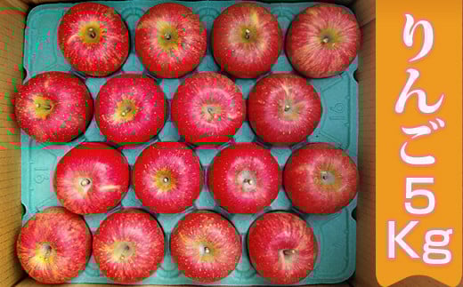 【11月下旬より順次お届け】[数量限定] 矢板市産完熟りんご ふじ 5kg箱｜リンゴ 林檎 フルーツ 果実 果物 スイーツ 産地直送 栃木県産 国産 先行予約
