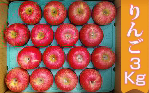 【11月下旬より順次お届け】[数量限定] 矢板市産完熟りんご ふじ 3kg箱｜リンゴ 林檎 フルーツ 果実 果物 スイーツ 産地直送 栃木県産 国産 先行予約