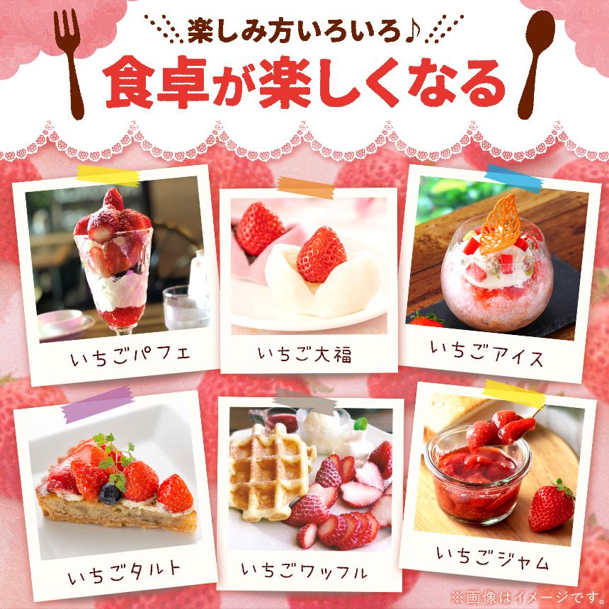 [先行予約] [4ヶ月連続定期便] 人気のいちご4品種お届け定期便 (毎月1品種お届け 計4回) 澳原いちご農園 | とちあいか とちおとめ スカイベリー ミルキーベリー 栃木県産 期間限定 数量限定