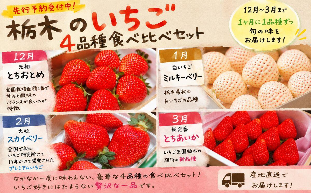 [先行予約] [4ヶ月連続定期便] 人気のいちご4品種お届け定期便 (毎月1品種お届け 計4回) 澳原いちご農園 | とちあいか とちおとめ スカイベリー ミルキーベリー 栃木県産 期間限定 数量限定