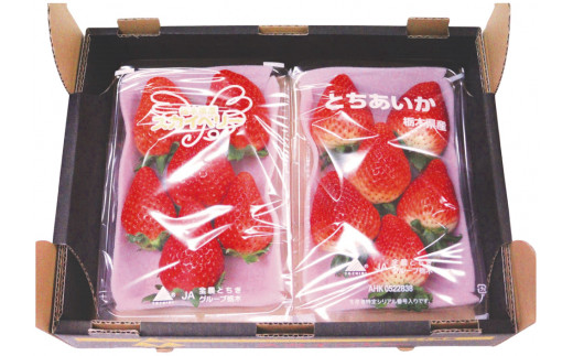 [先行予約][2026年12月中旬より順次発送予定・じゅわっと溢れだす] とちあいか＆スカイベリー食べ比べセット600g ｜いちご イチゴ 苺 フルーツ 果物 産地直送 栃木県産 矢板市産 先行予約 栃木県 矢板市