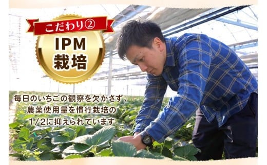 【先行予約】幸せを呼ぶハート型 栃木の新品種《とちあいか》1,120g (280g×4P)《12月中旬～4月の期間で発送》 澳原いちご農園 | いちご 苺 イチゴ フルーツ 果物 産地直送 