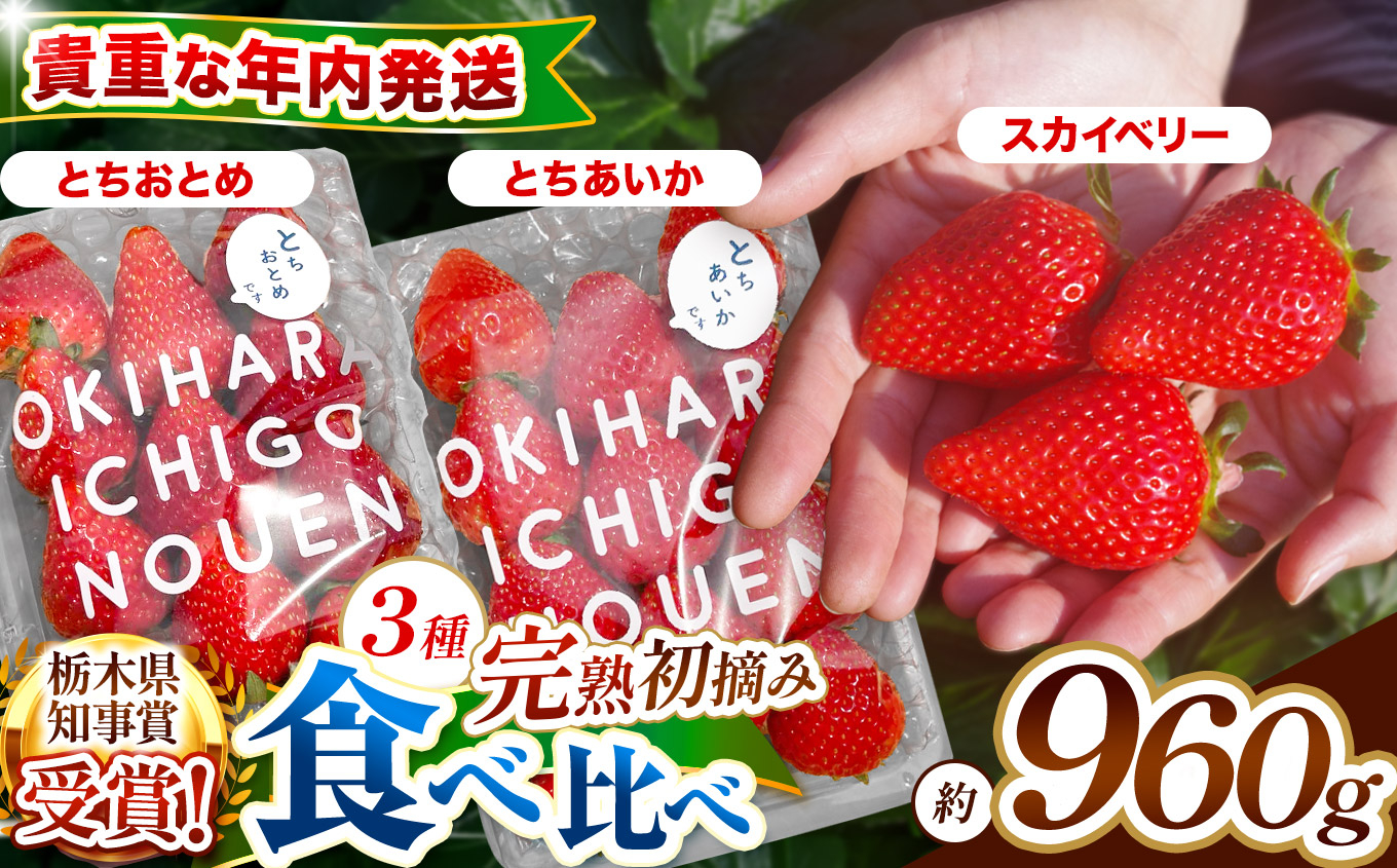【先行予約】[数量限定] 貴重な12月発送！贅沢な栃木のいちご3種食べ比べセット 960g | とちあいか とちおとめ スカイベリー