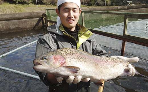 譬譛ィ逵後ョ繝悶Λ繝ウ繝蛾ュ壹後励Ξ繝溘い繝繝、繧キ繧ェ繝槭せ縲堺クク1蟆セ 譁ー魄ョ 豢サ縺醍キ繧ス憺ョョ鬲 魍 蝗ス逕」 逕」蝨ー逶エ騾