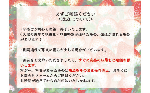 [先行予約][2026年12月中旬より順次発送予定・いちご研究所が17年費やした] スカイベリー600g｜いちご イチゴ 苺 フルーツ 果物 産地直送 栃木県産 矢板市産 先行予約 栃木県 矢板市