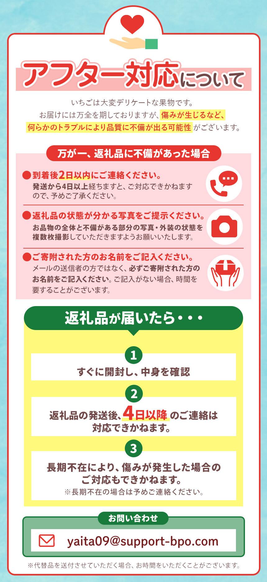 [先行予約][2026年12月中旬より順次発送予定・いちご研究所が17年費やした] スカイベリー600g｜いちご イチゴ 苺 フルーツ 果物 産地直送 栃木県産 矢板市産 先行予約 栃木県 矢板市