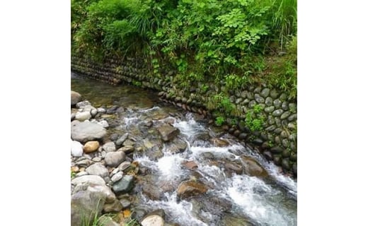 寺山鉱泉【1日1組限定】宿泊補助券(1泊2食付き、2名様)｜矢板市 温泉 観光 旅行 宿泊クーポン チケット 