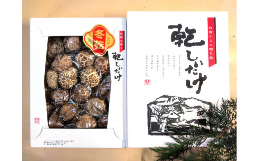 肉厚・厳選！原木育ちの上どんこ110g｜栃木県 矢板市 しいたけ 椎茸 産地直送  