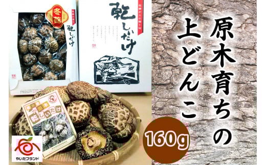 肉厚・厳選！原木育ちの上どんこ160g｜栃木県 矢板市 しいたけ 椎茸 産地直送