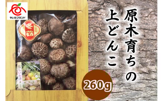 肉厚・厳選！原木育ちの上どんこ260g｜栃木県 矢板市 しいたけ 椎茸 産地直送