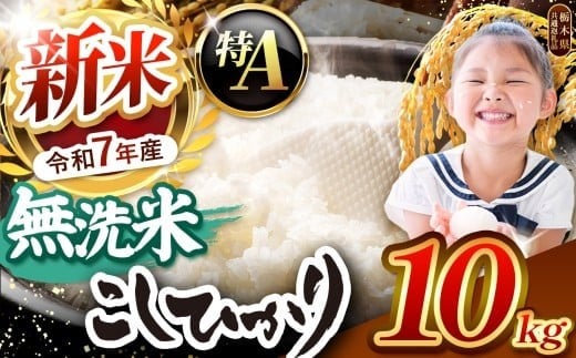 栃木県産コシヒカリ 無洗米 10kg 【栃木県共通返礼品】 | お米 米 こめ 洗米 新米 無洗米 コシヒカリ こしひかり 美味しい お弁当 選べる ふるさと 納税 栃木県 矢板市