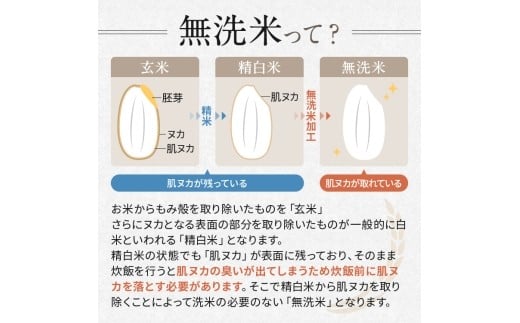 【令和7年度新米先行予約】栃木県産コシヒカリ 無洗米 5kg 定期便3回 【栃木県共通返礼品】| 定期便 お米 米 こめ 洗米 新米 無洗米 コシヒカリ こしひかり 美味しい お弁当 選べる ふるさと 納税 栃木県 矢板市
