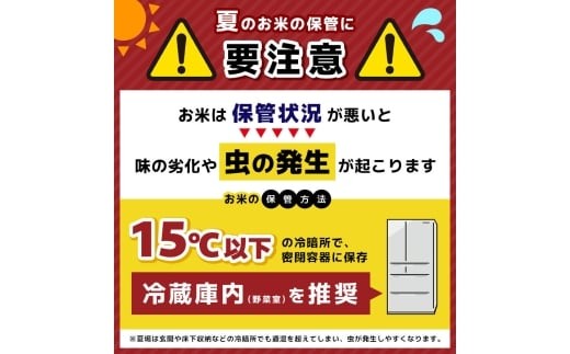 【令和7年度新米先行予約】栃木県産コシヒカリ 無洗米 5kg 定期便3回 【栃木県共通返礼品】| 定期便 お米 米 こめ 洗米 新米 無洗米 コシヒカリ こしひかり 美味しい お弁当 選べる ふるさと 納税 栃木県 矢板市