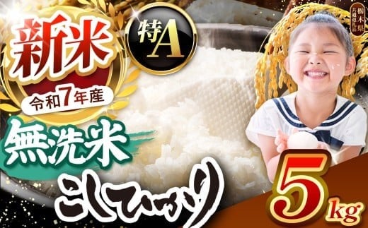 栃木県産コシヒカリ 無洗米 5kg【栃木県共通返礼品】 | お米 米 こめ 洗米 新米 無洗米 コシヒカリ こしひかり 美味しい お弁当 選べる ふるさと 納税 栃木県 矢板市