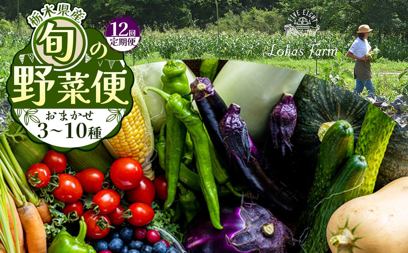 【定期便12回】栃木県産 旬の野菜 (果物) 便 3～10種 定期便あり 12回｜栃木県産 矢板市産 旬の野菜 フルーツ スイーツ デザート 果物 果実 産地直送 栃木県 矢板市