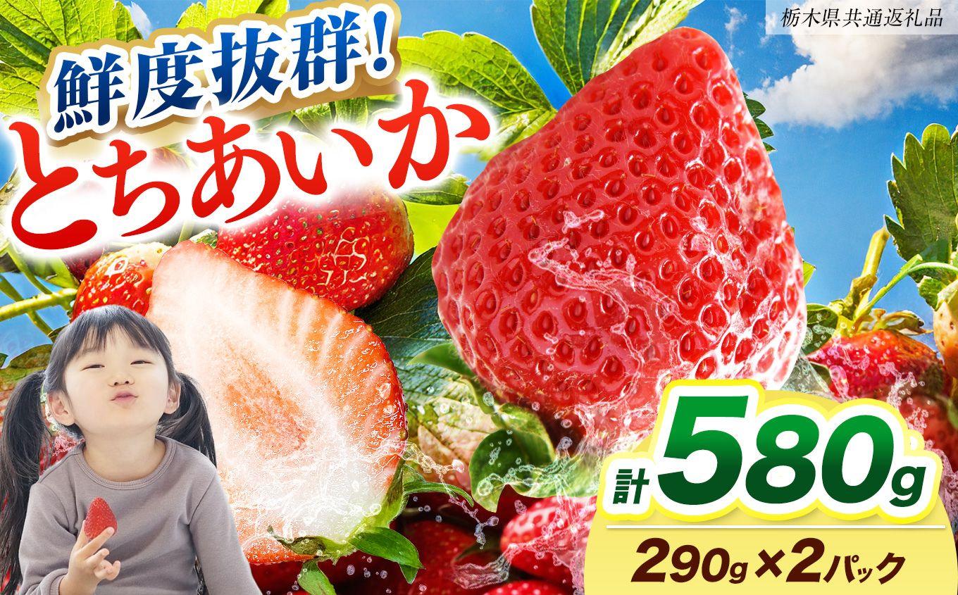 【2027年先行予約】鮮度抜群 いちご とちあいか 290g×2P【栃木県共通返礼品】