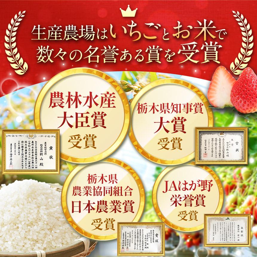 【ふるさと納税】[期間限定] 鮮度抜群とちあいか 290g×2P 先行予約【栃木県共通返礼品】｜栃木県産 矢板市産 フルーツ スイーツ デザート 果物  産地直送 栃木県 矢板市