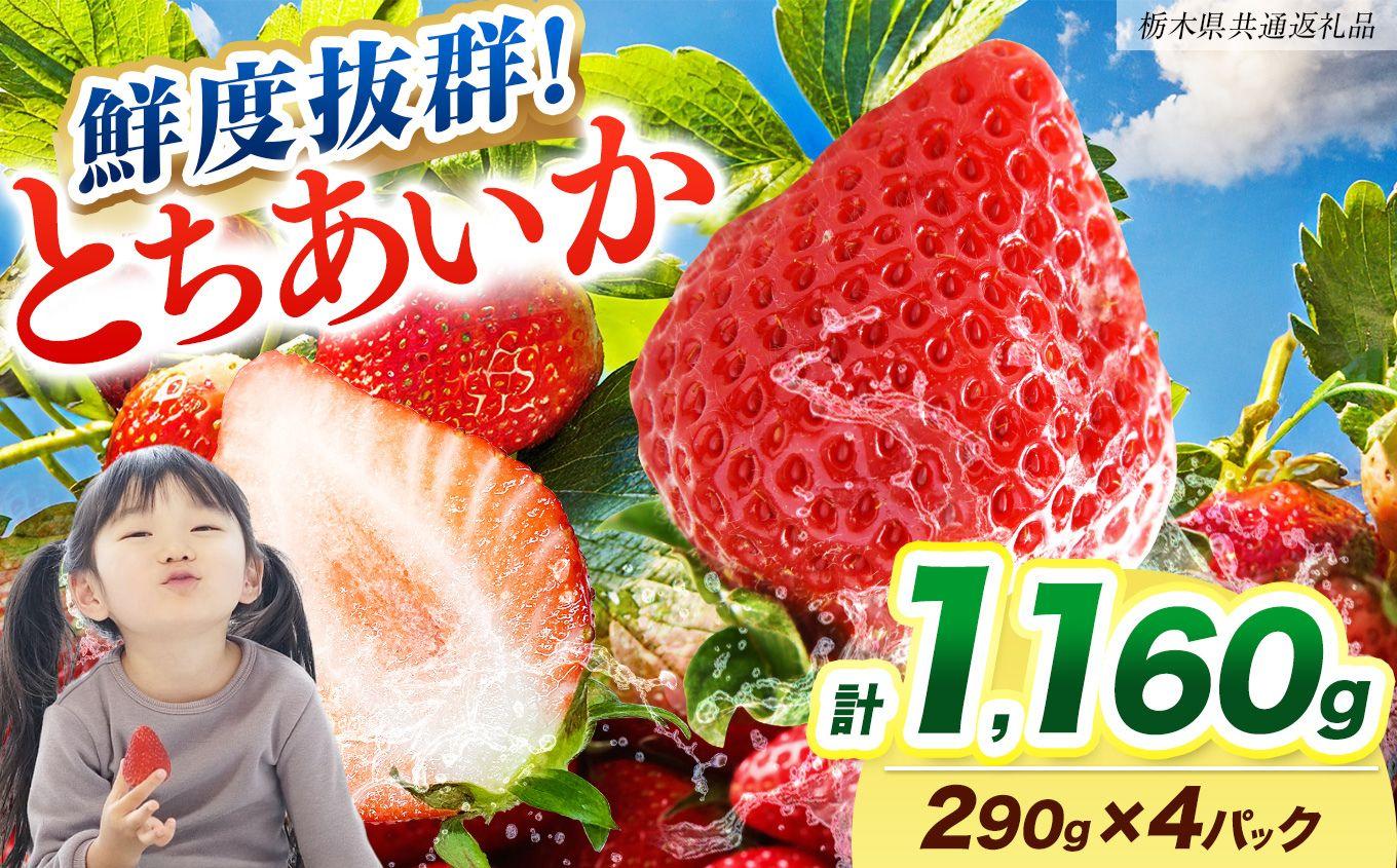 【2027年先行予約】鮮度抜群 いちご とちあいか 290g×4P【栃木県共通返礼品】