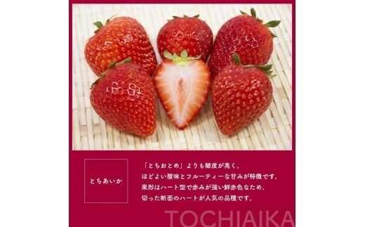 [期間限定] 鮮度抜群とちあいか 290g×4P 先行予約【栃木県共通返礼品】｜栃木県産 矢板市産 フルーツ スイーツ デザート 果物 果実 産地直送 栃木県 矢板市