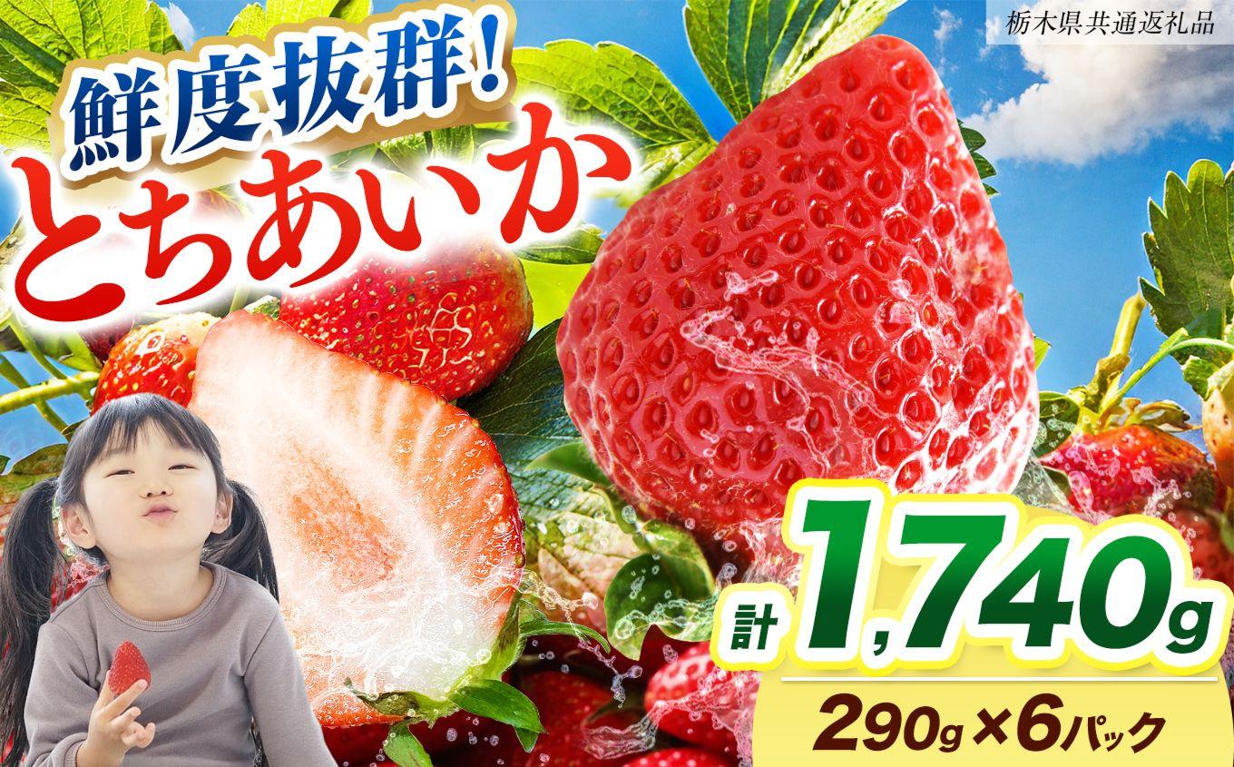 【2027年先行予約】鮮度抜群 いちご とちあいか 290g×6P【栃木県共通返礼品】