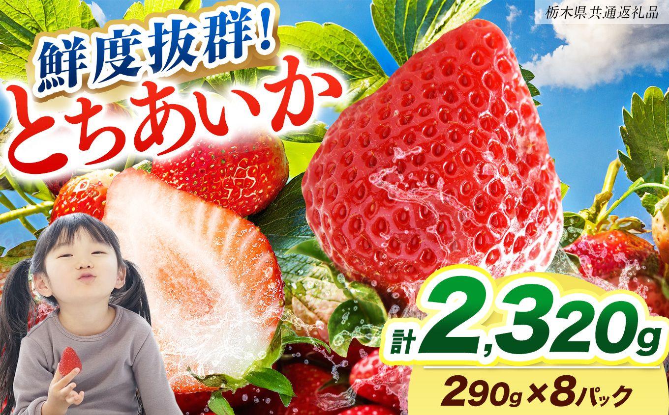 【2027年先行予約】鮮度抜群 いちご とちあいか 290g×8P【栃木県共通返礼品】