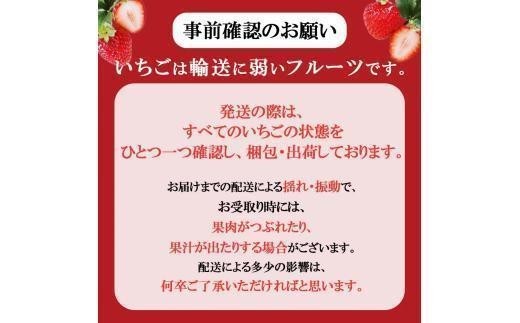 [期間限定] 鮮度抜群とちあいか 290g×8P 先行予約【栃木県共通返礼品】｜栃木県産 矢板市産 フルーツ スイーツ デザート 果物 果実 産地直送 栃木県 矢板市
