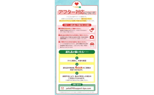 いちご とちあいか 厳選 1.5kg以上【2027年先行予約】 | 苺 イチゴ 栃木県共通返礼品