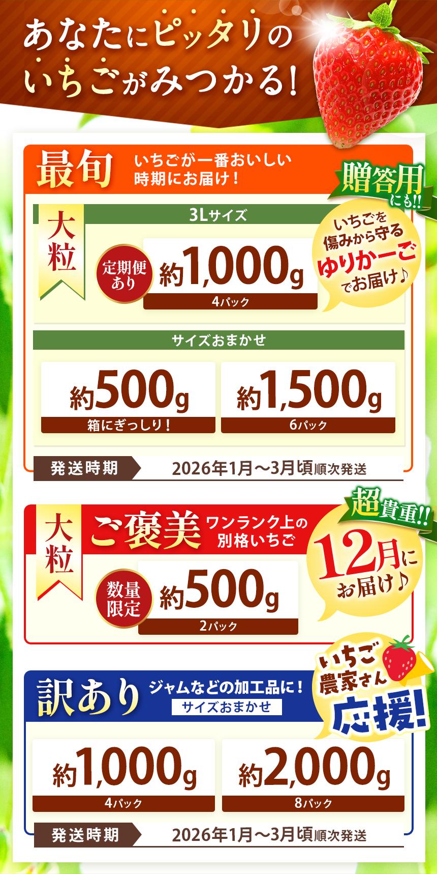 いちご とちあいか 厳選 1.5kg以上【2027年先行予約】 | 苺 イチゴ 栃木県共通返礼品