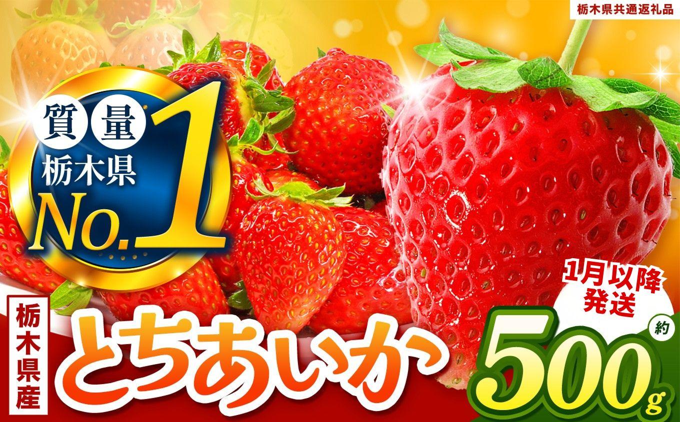 2027年 先行予約受付中！【1月以降発送】最旬とちあいか 500g以上 | 栃木県共通返礼品 いちご 人気 デザート 栃木県 矢板市