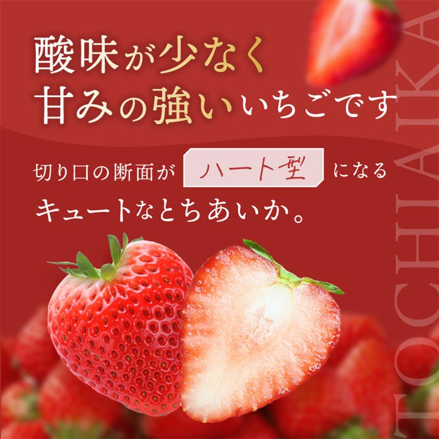 縺縺。縺 縺願ゥヲ縺 縺ィ縺。縺ゅ>縺 8邊偵2027蟷エ蜈郁。御コ育エ縲 | 闍コ 繧、繝√ざ 譬譛ィ逵悟ア騾夊ソ皮、シ蜩