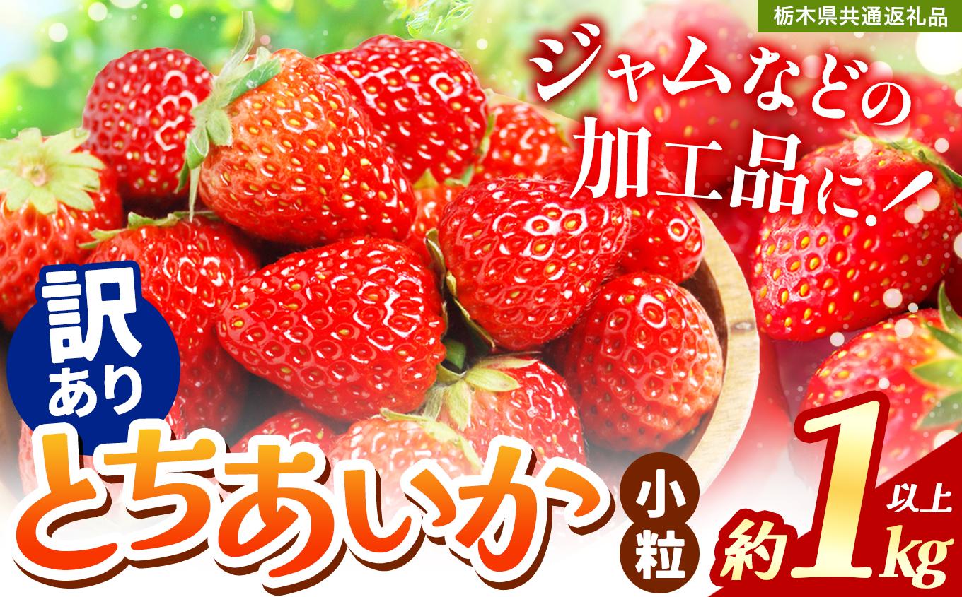【訳あり】不揃いとちあいか1kg以上| 訳あり訳あり いちご とちあいか 大粒 新鮮 甘い 数量 限定 美味しい 果物 共通返礼品 フルーツ デザート 栃木県 送料無料