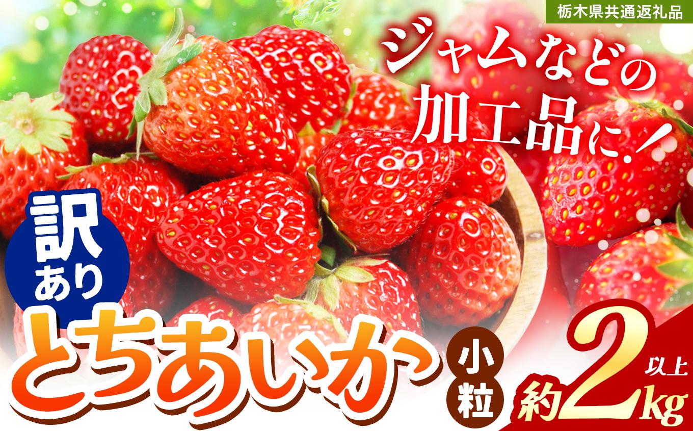 【訳あり】不揃いとちあいか2kg以上| 訳あり訳あり いちご とちあいか 大粒 新鮮 甘い 数量 限定 美味しい 果物 共通返礼品 フルーツ デザート 栃木県 送料無料