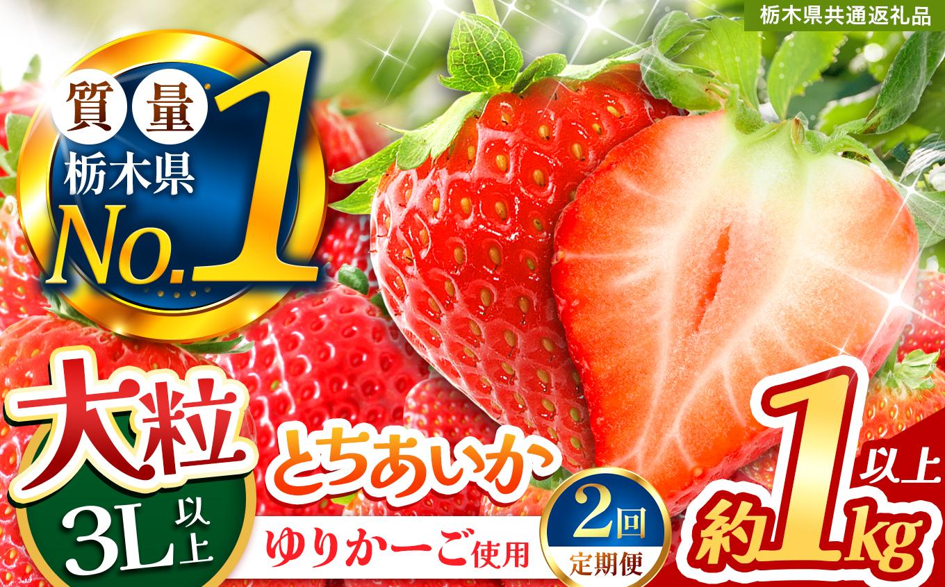 【定期便2回】とちあいか 3L以上ホール詰め | いちご とちあいか 大粒 新鮮 甘い 数量 限定 美味しい 果物 共通返礼品 フルーツ デザート 栃木県 送料無料