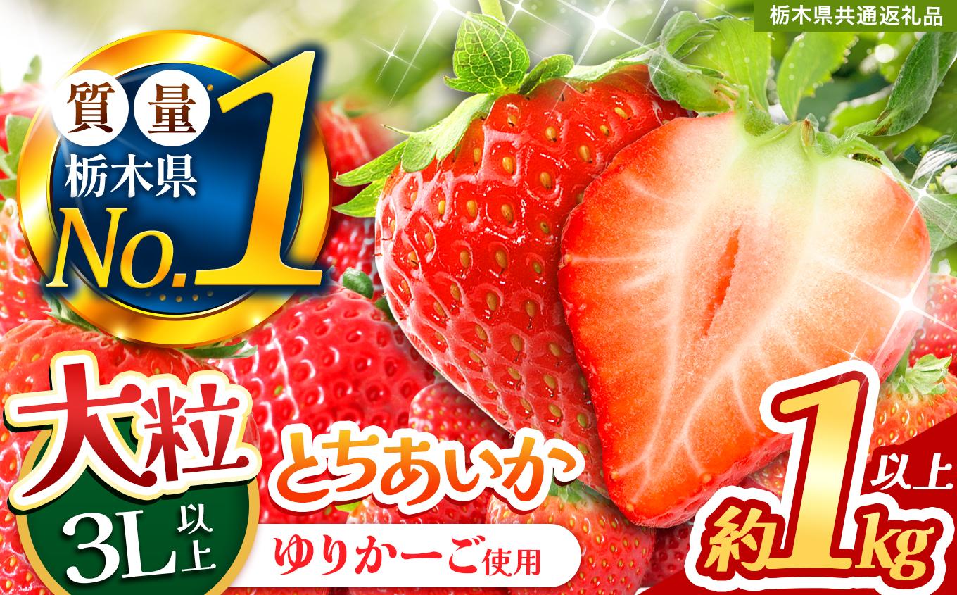 とちあいか３L以上ホール詰め 1kg以上 | いちご とちあいか 大粒 新鮮 甘い 数量 限定 美味しい 果物 共通返礼品 フルーツ デザート 栃木県 送料無料
