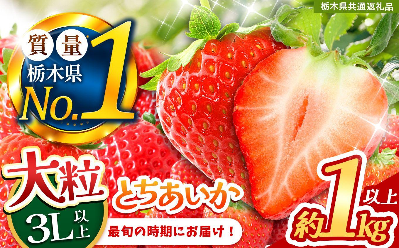 2027年 先行予約受付中！最旬とちあいか 1kg以上 |  栃木県共通返礼品 いちご 人気 デザート 栃木県 矢板市