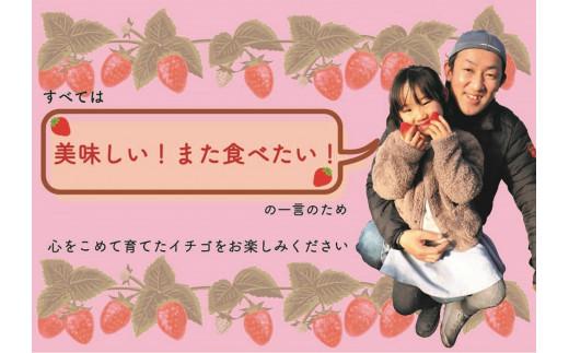 [4月中旬より順次発送予定・秘密にしたい美味しさ] 朝獲れ新鮮とちおとめ、とちあいかの食べ比べセット 1120g｜いちご とちおとめ とちあいか 苺 フルーツ 果物  美味しい 産地直送 関農園 先行予約