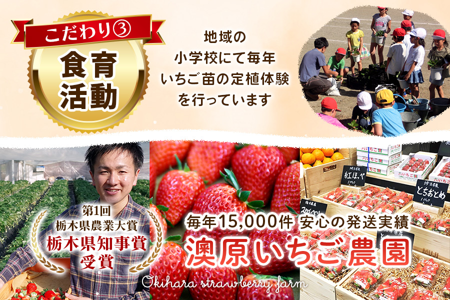 [数量限定] スカイベリー 極み×ミルキーベリー 極み 12粒《1月初旬〜2月初旬に順次発送》｜いちご イチゴ 苺 フルーツ スカイベリー ミルキーベリー 果物 産地直送 栃木県産 [0575]