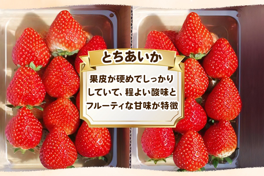 幸せを呼ぶハート型 栃木の新品種《とちあいか》280g×4P《12月より順次出荷》｜いちご 苺 イチゴ フルーツ 果物 産地直送 [0564]