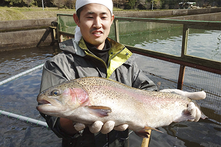 栃木県のブランド魚「プレミアムヤシオマス」丸1尾 新鮮 活け締め｜鮮魚 鱒 国産 産地直送  [0355]