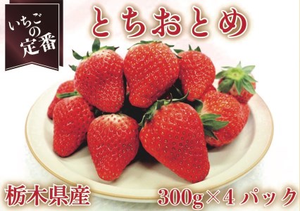 [先行予約・いちごの定番] とちおとめ1200g (12月中旬より順次発送予定)｜いちご イチゴ 苺 フルーツ 果物 産地直送 栃木県産 矢板市産 [0353]