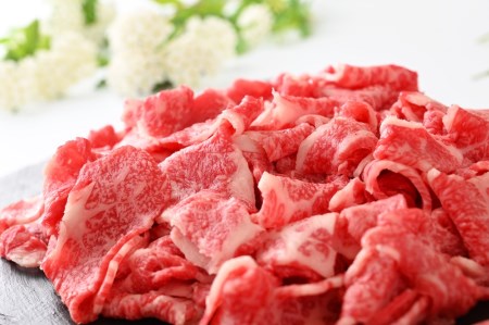 矢板産 黒毛和牛万能切落し《敷島ファーム》｜和牛 お肉 牛肉 産地直送 国産 グルメ [0448]