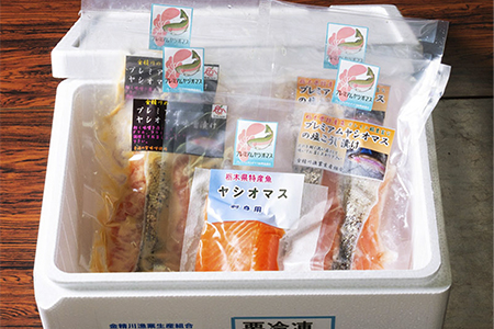 栃木県のブランド魚「プレミアムヤシオマス」の切身セット 味噌漬、塩麹漬、刺身(生食用)｜鮮魚 鱒 国産 産地直送 [0366]